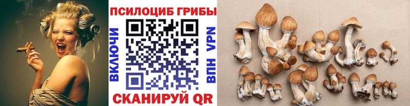 Псилоцибиновые грибы мицелий  Купить где  Макаров 