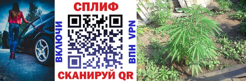 МАРИХУАНА планчик Макаров