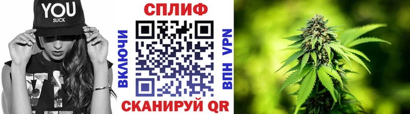 Марихуана THC 21%  Купить закладки  Макаров 
